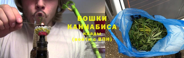ПСИЛОЦИБИНОВЫЕ ГРИБЫ Алексин