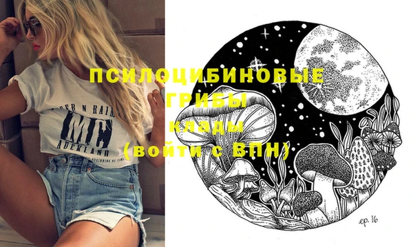 ПСИЛОЦИБИНОВЫЕ ГРИБЫ Алексин