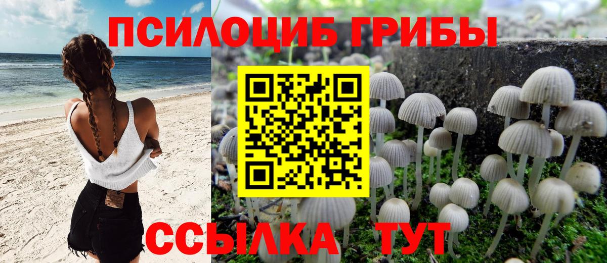 Галлюциногенные грибы мицелий  Вход с VPN  Галлюциногенные грибы прущие грибы  Ишим 