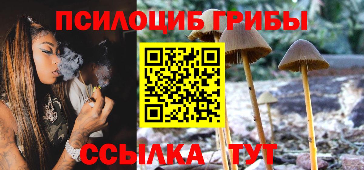 Псилоцибиновые грибы Psilocybine cubensis Ишим